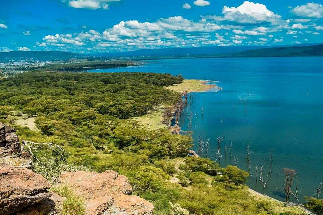 lake nakuru shore